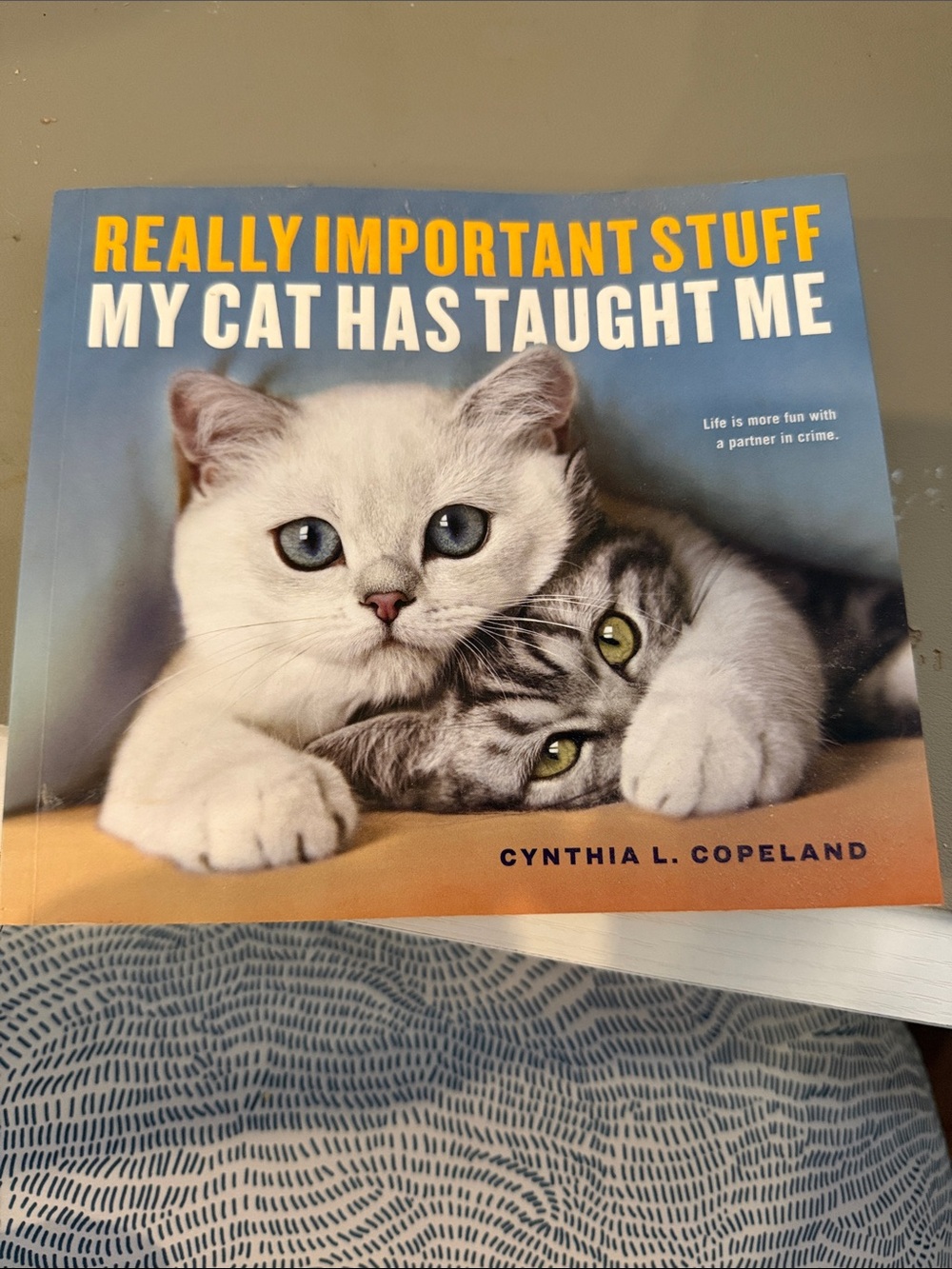 Really Important Stuff: My Cat Has Taught Me Book